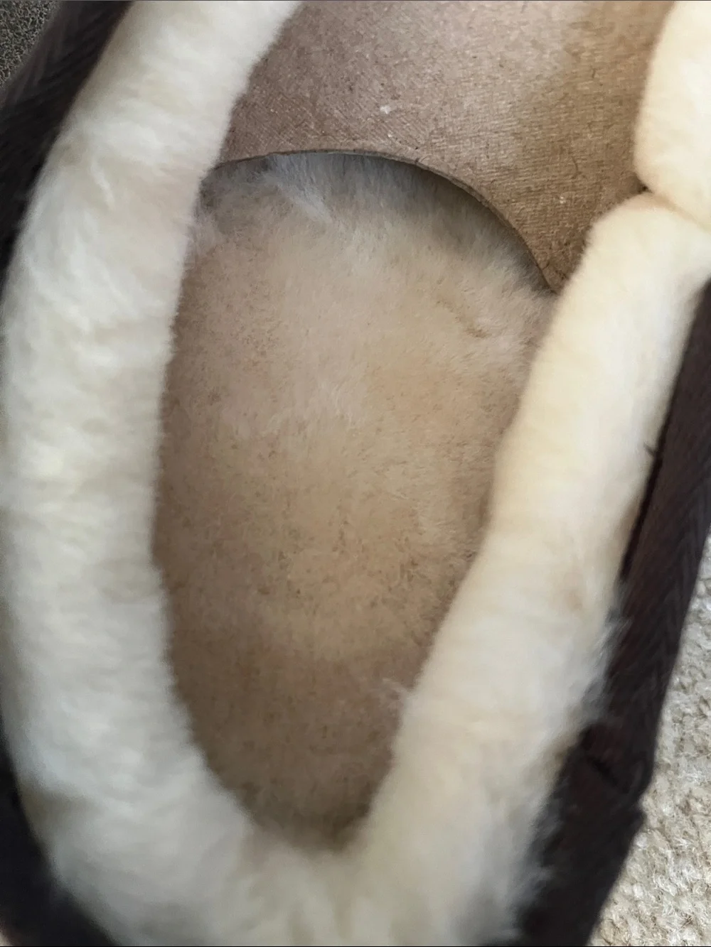 Kirkland Signature cozy faux